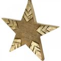 Floristik24 Hviezda mangové drevo prírodné, zlatá drevená hviezda veľká na zavesenie 25cm 2ks