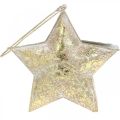 Floristik24 Ozdobný hviezdicový kov na zavesenie a zdobenie Zlatý Ø13cm