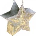 Floristik24 Ozdobný hviezdicový kov na zavesenie a zdobenie Zlatý Ø13cm