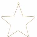 Floristik24 Dekoračná hviezda na zavesenie zlatý kov Ø50,5cm 2ks
