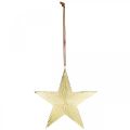 Floristik24 Zlatá hviezda, adventná dekorácia, deko prívesok na Vianoce 12×13cm 2ks