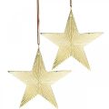 Floristik24 Zlatá hviezda, adventná dekorácia, deko prívesok na Vianoce 12×13cm 2ks