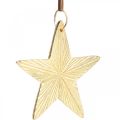 Floristik24 Hviezdičky na zavesenie, kovová dekorácia, ozdoba na vianočný stromček Zlatá 9,5×9,5cm 3ks