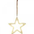 Floristik24 Vianočný prívesok, dekorácia hviezda na advent, deco hviezda zlatá 14×14cm