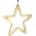 Floristik24 Vianočný prívesok, dekorácia hviezda na advent, deco hviezda zlatá 14×14cm