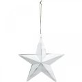 Floristik24 Hviezda na zavesenie, ozdoba na vianočný stromček, biela kovová dekorácia 19,5×18,5cm