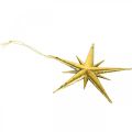 Floristik24 Vianočná dekorácia prívesok hviezda zlatý Š11,5cm 16ks