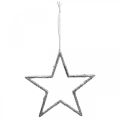 Floristik24 Hviezda na zavesenie, ozdoby na vianočný stromček, deco hviezda strieborná 11,5×12cm 12ks
