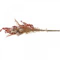 Floristik24 Umelé rastliny jesenná dekorácia bodliaky bobule paprade 65cm strapec