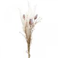 Floristik24 Makové kapsule deko sušené kvety umelá papraď krémová 63cm