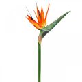 Floristik24 Strelizie reginae umelý kvet oranžový rajka L85cm