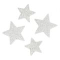 Floristik24 Bodová dekorácia hviezdy biela so sľudou 4-5cm 40p
