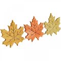 Floristik24 Stolová dekorácia jesenná, rozptylová dekorácia drevo javorový list Š4cm 72b