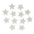 Floristik24 Hviezdice rozptylové s glitrovým krémom 2,5cm 96ks