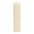 Floristik24 Stĺpové sviečky krémové adventné sviečky sviečky 200/50mm 24ks