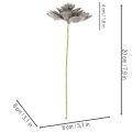 Umelá sukulentná vosková umelá rastlina s drôtom 8 cm 8 ks | Floristik24.sk