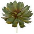 Floristik24 Umelý sukulent ako dekoračná rastlina, zelený, 18 cm, 3 kusy