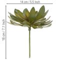Umelý sukulent ako dekoračná rastlina, zelený, 18 cm, 3 kusy | Floristik24.sk
