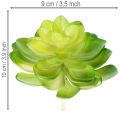 Umelá sukulentná rastlina, zelená, na dekoráciu do misky alebo vázy, 10 cm, 4 kusy | Floristik24.sk