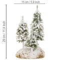 Zasnežené jedle, umelá zimná krajina pre vianočnú dedinku a dekoráciu stola, 29 cm | Floristik24.sk