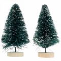 Floristik24 Mini jedlička zasnežená, zimná dekorácia, vianočný stromček V9,5cm Ø5cm 2ks