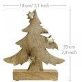 Floristik24 Vianočný stromček jedľa mango wood nature deco 20×18×5cm