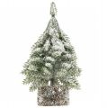 Floristik24 Vianočný stromček so snehom, vianočná dekorácia, ozdobná jedľa V14cm