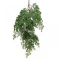 Floristik24 Umelá vetvička cyprusu zelená na zavesenie z 5 deko vetvičiek 75cm