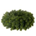 Veniec z umelých jedľových vetvičiek, zelený, okrúhly, 50 cm | Floristik24.sk