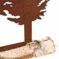 Floristik24 Patina siluety jedle na kmeni brezy 41cm x 36cm