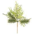 Floristik24 Umelá jedľová vetvička na slávnostnú dekoráciu, 22 cm, 2 kusy