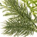 Umelá jedľová vetvička na slávnostnú dekoráciu, 22 cm, 2 kusy | Floristik24.sk
