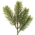 Floristik24 Umelá zelená jedľová vetvička na zimnú dekoráciu, 25 cm, 24 kusov