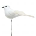 Floristik24 Deko holubice na drôte biele 11cm 6ks