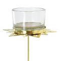 Floristik24 Svietnik na čajovú sviečku hviezda zlatá 23,5cm 4ks