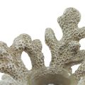 Floristik24 Svietnik na čajovú sviečku koralová dekorácia morská sivá Ø12cm V8cm