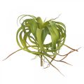 Floristik24 Tillandsia umelá na palicu svetlozelená umelá rastlina 30cm