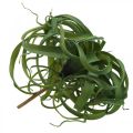 Floristik24 Tillandsia Umelá zelená rastlina na napichovanie Large Green Ø40cm