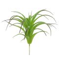 Floristik24 Deco tillandsia zelená 16cm 4ks