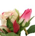 Floristik24 Stolová dekorácia ruža v hrnci krémová 14cm