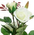 Floristik24 Stolová dekorácia ruža v kvetináči biela 24cm