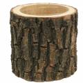 Floristik24 Črepník z brestového dreva Ø16-18cm V15cm