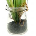 Floristik24 Hroznový hyacint modrý v pohári na zavesenie V22cm