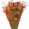 Floristik24 Sušené kvety kytica oranžová mix 42cm