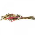 Floristik24 Kytica sušených kvetov slamená kytica bodliak 40–45cm