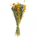 Floristik24 Kytica zo sušených kvetov Kytica z lúčnych kvetov 58cm