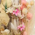 Floristik24 Kytica sušených kvetov Boho Pink Bielená sušená dekorácia 80cm 140g