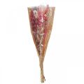 Floristik24 Kytica sušených kvetov ružovo-biela phalaris masterwort 80cm 160g
