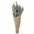 Floristik24 Kytica sušených kvetov Kytica lúčnych kvetov modrá V50cm 100g