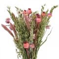 Floristik24 Sušená kytica Kytica z lúčnych kvetov Ružová V50cm 140g